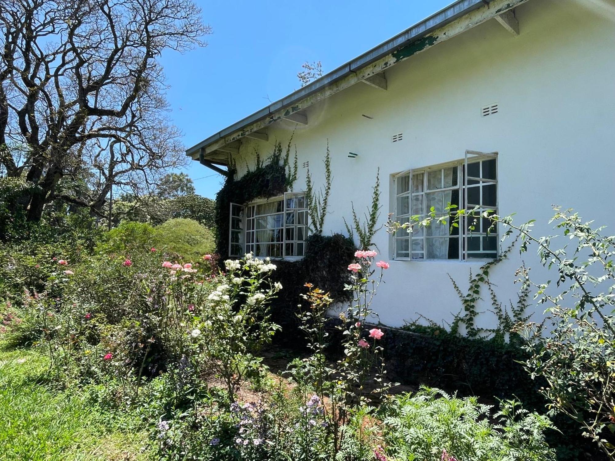 Huntingdon House And Chawani Bungalow Thyolo Exterior foto